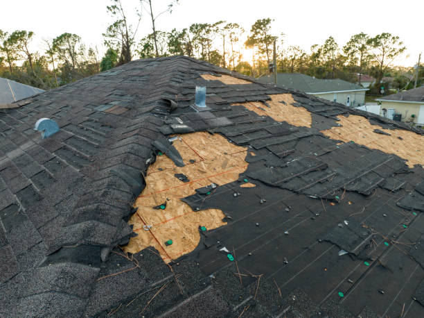 Best Commercial Roofing Services  in Dobson, NC